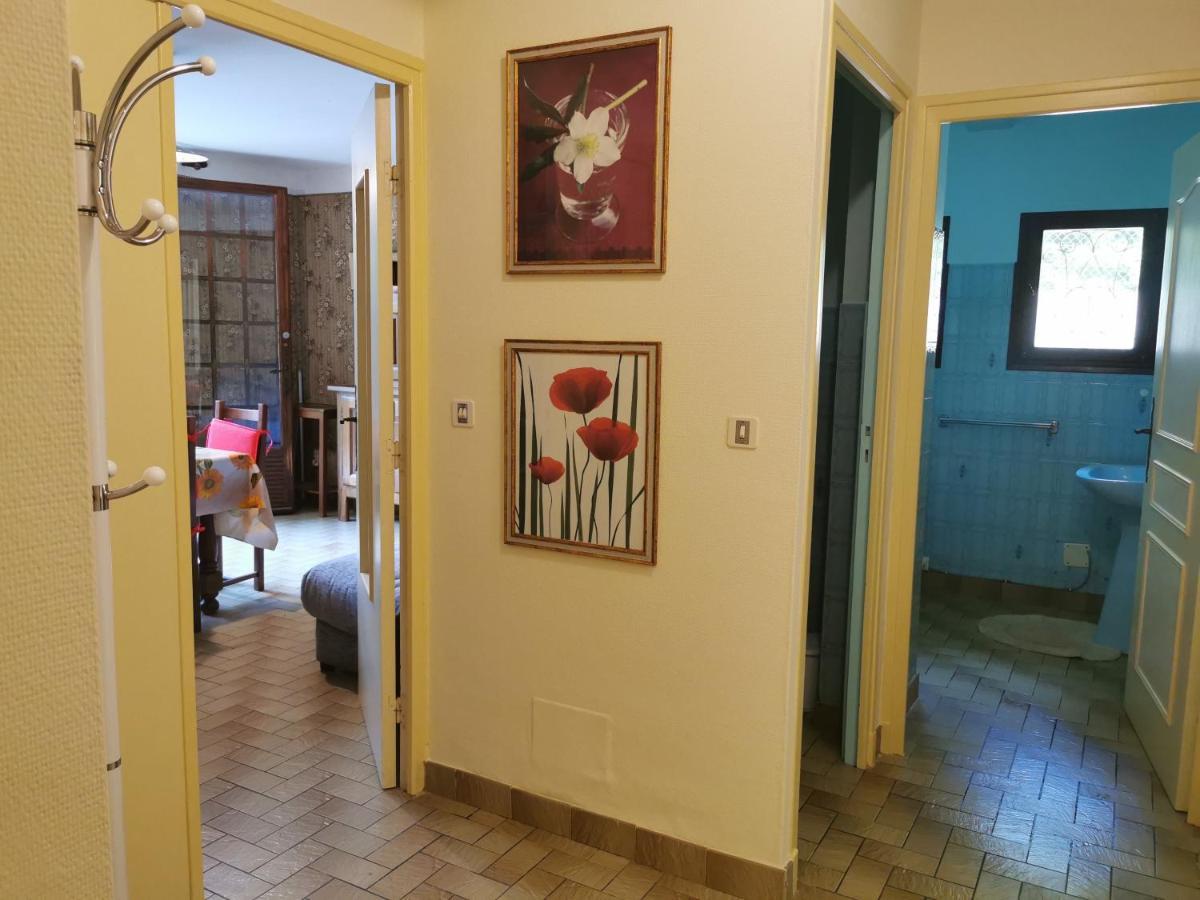 Appartement 48 M2 Avec Jardin Au Rdc Dans Villa A 5 Min A Pied Des Thermes De Vernet-Les-Bains, Location De Samedi A Samedi Exteriér fotografie