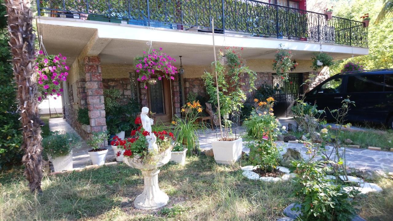 Appartement 48 M2 Avec Jardin Au Rdc Dans Villa A 5 Min A Pied Des Thermes De Vernet-Les-Bains, Location De Samedi A Samedi Exteriér fotografie